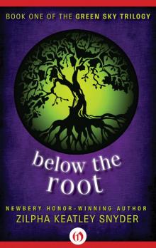 Below the Root Below the Root