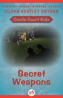 Secret Weapons Secret Weapons