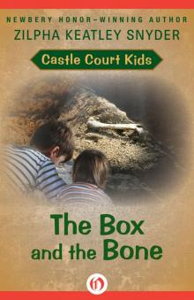 The Box and the Bone The Box and the Bone
