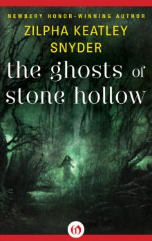 The Ghosts of Stone Hollow The Ghosts of Stone Hollow