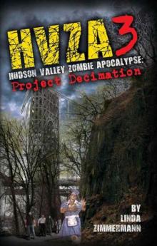 HVZA (Book 3): Hudson Valley Zombie Apocalypse [Project Decimation]