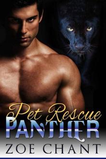 Pet Rescue Panther