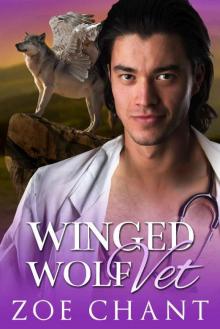Winged Wolf Vet Winged Wolf Vet
