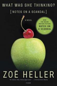 What Was She Thinking?: Notes on a Scandal: A Novel What Was She Thinking?: Notes on a Scandal: A Novel