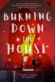 Burning down the house