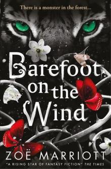 Barefoot on the Wind Barefoot on the Wind