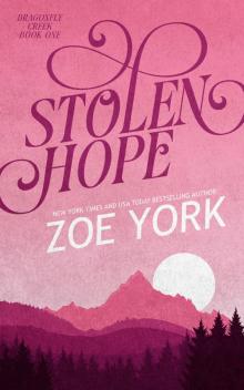 Stolen Hope (Dragonfly Creek Book 1)