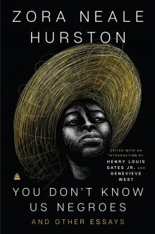 You Don't Know Us Negroes and Other Essays You Don't Know Us Negroes and Other Essays